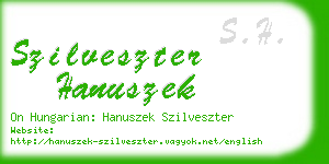 szilveszter hanuszek business card